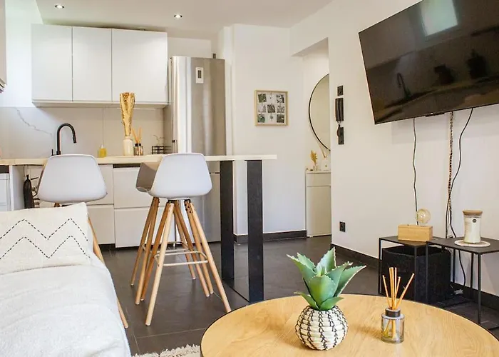 Apartment Le Captain Annecy